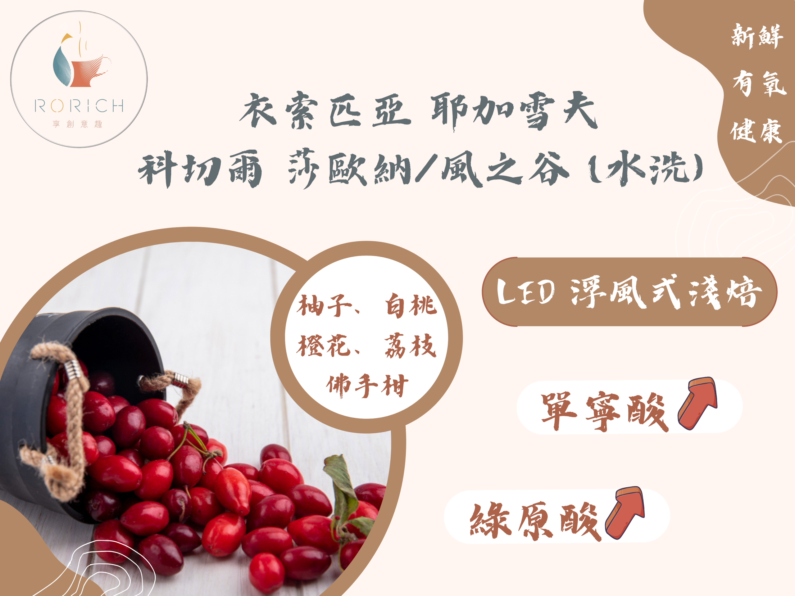 9065 衣索匹亞 耶加雪夫 科切爾 莎歐納風之谷 scaled