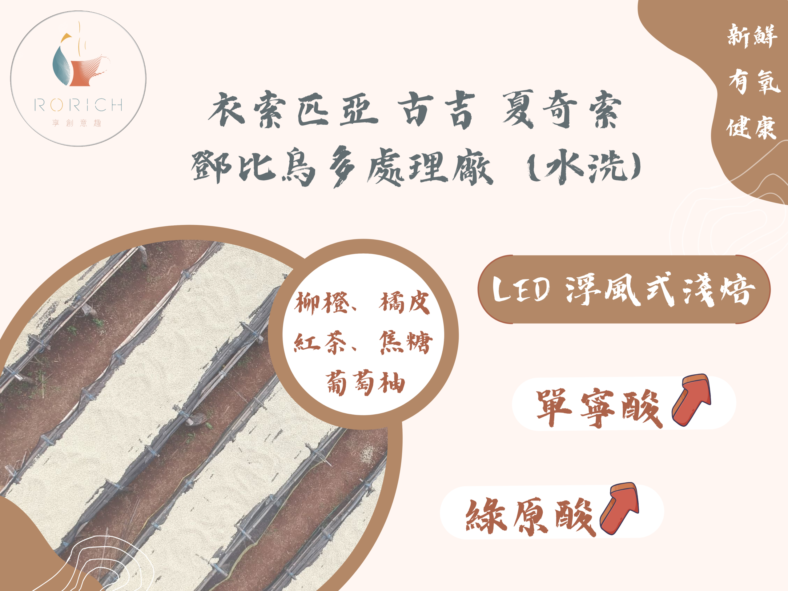 9219 衣索匹亞 古吉 夏奇索 鄧比烏多處理廠 scaled