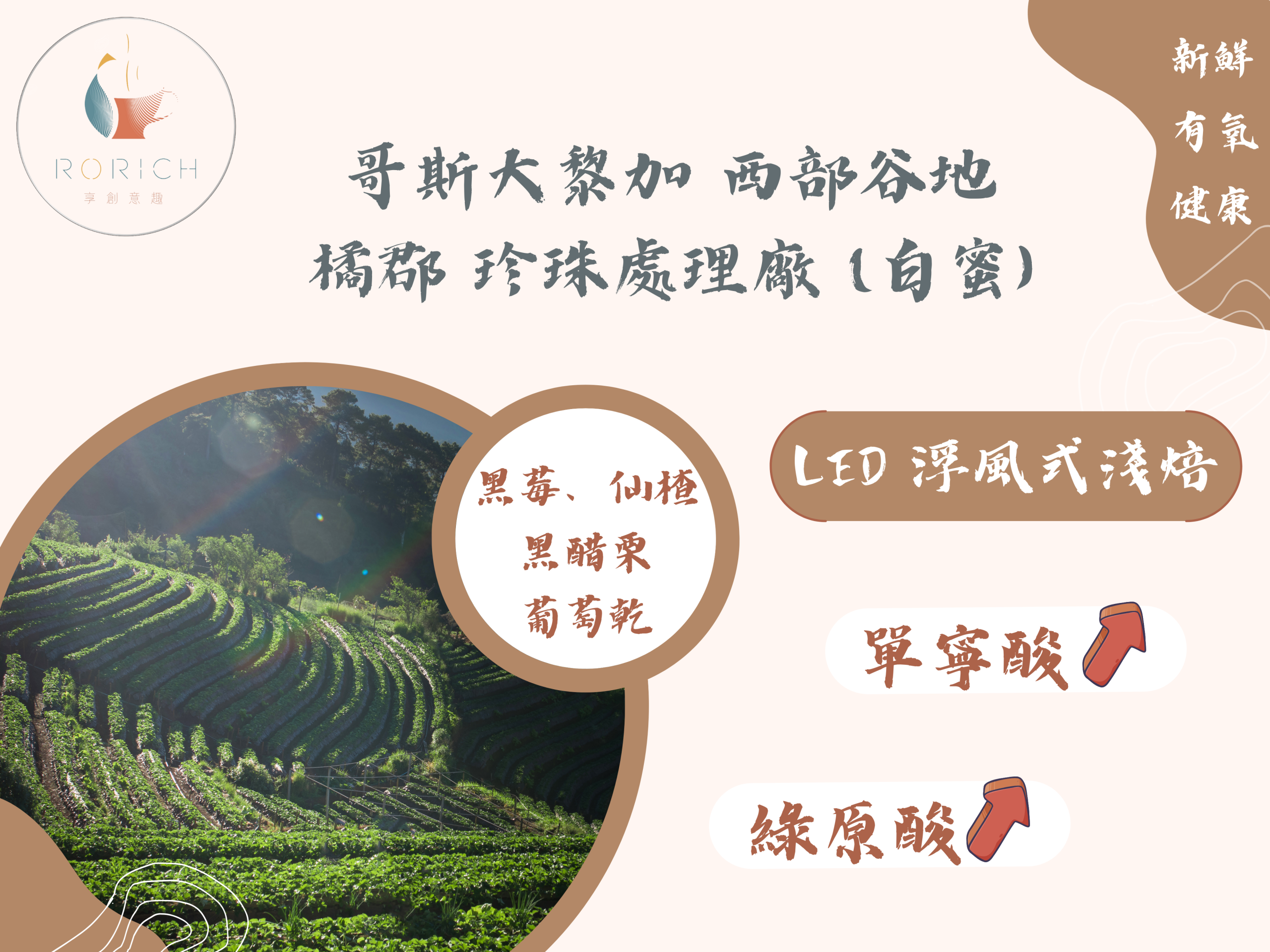9220 哥斯大黎加 西部谷地 橘郡 珍珠處理廠 scaled