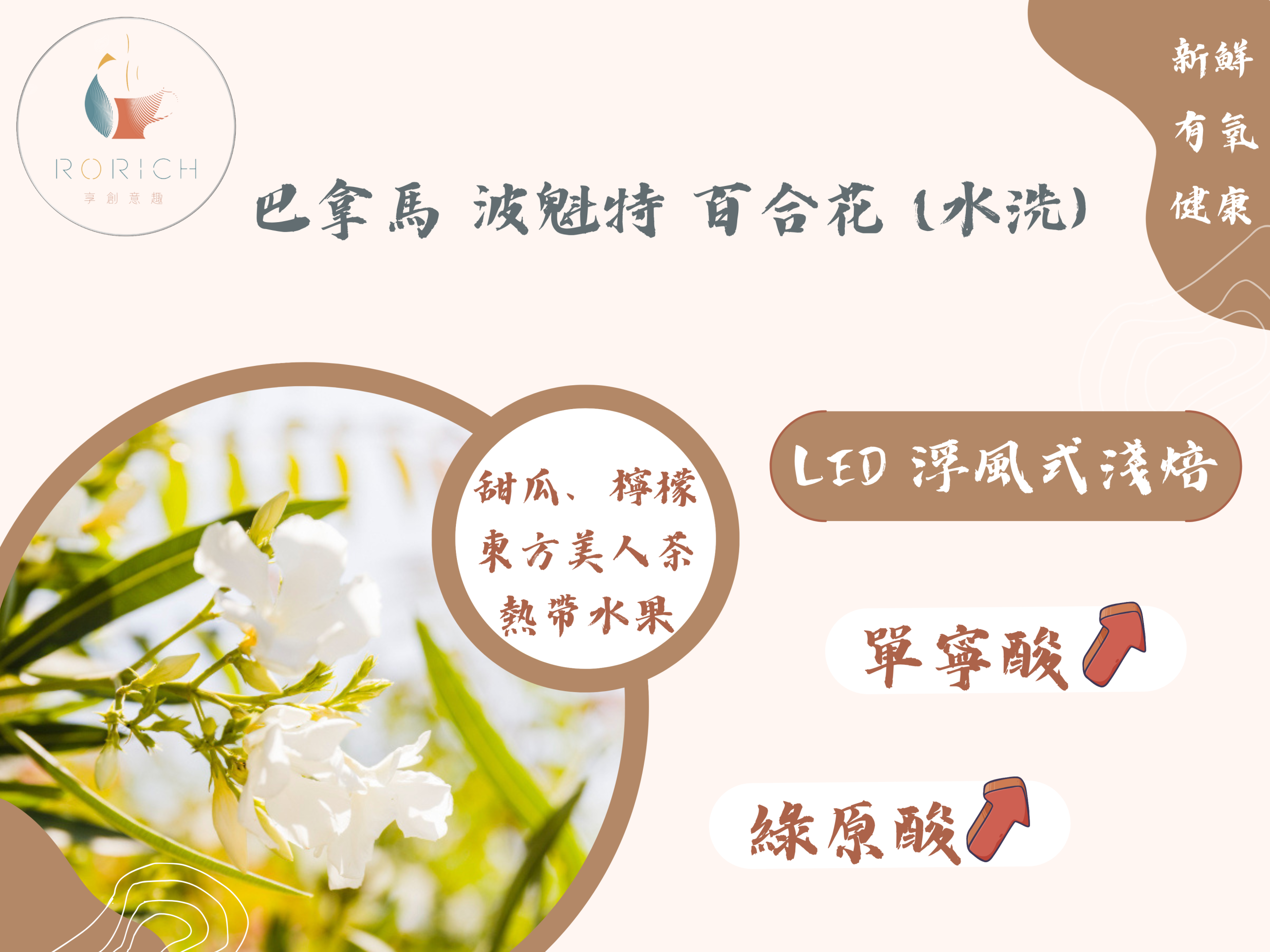 9145 巴拿馬 波魁特 百合花 scaled